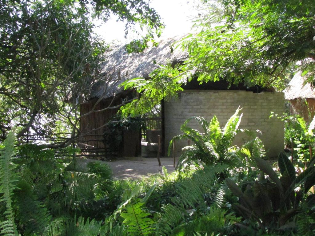 卡蒂马穆利洛Caprivi Houseboat Safari Lodge的花园中间的一座旧砖砌建筑