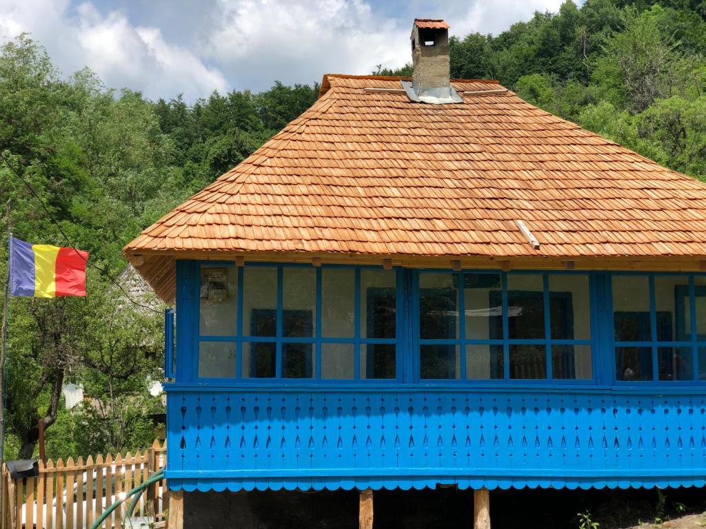 百乐·奥拉内斯蒂Casa Albastră的蓝色房屋,设有瓷砖屋顶和旗帜