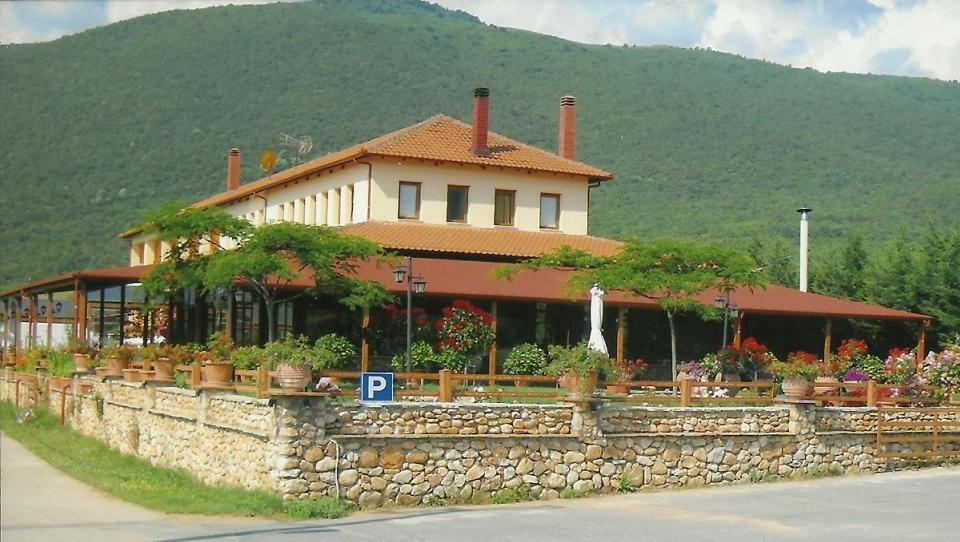 韦里亚Hotel Kapsalis的石墙上种有盆栽植物的房子