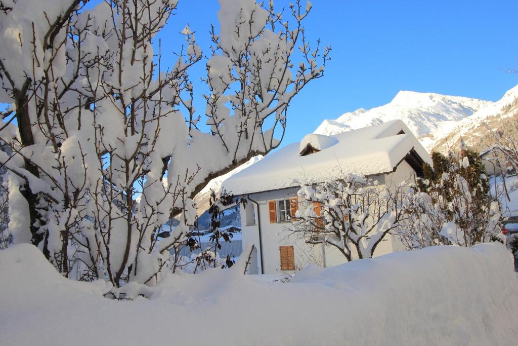 艾罗洛Chalet Cuore delle Alpi的一座被雪覆盖的房屋,里面种满了树木和山脉