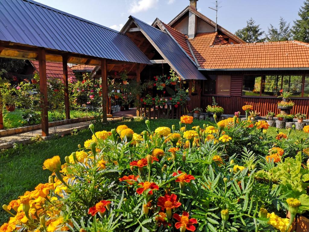 兹拉蒂博尔Guesthouse Ramović的一座房子前面的鲜花花园