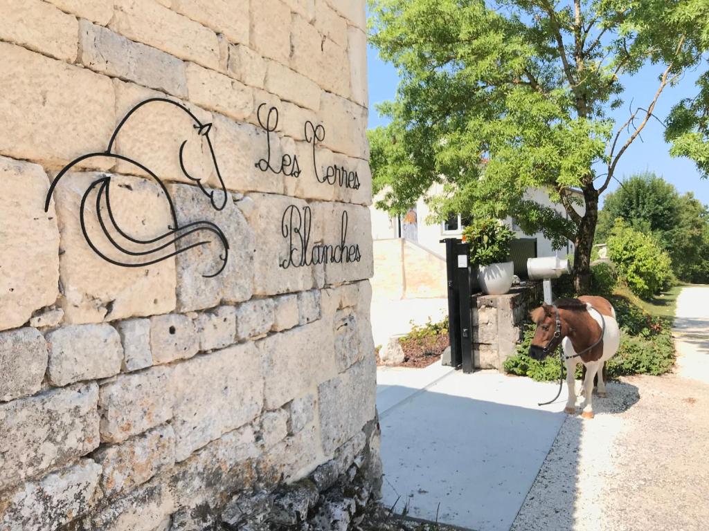 Le BoulvéLe Domaine des Terres Blanches的站在砖墙旁边的马