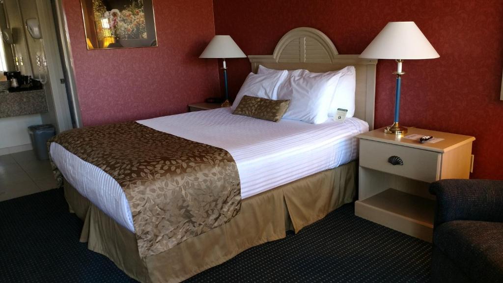 伍德兰刘易斯河酒店 的酒店客房带一张大床和一把椅子