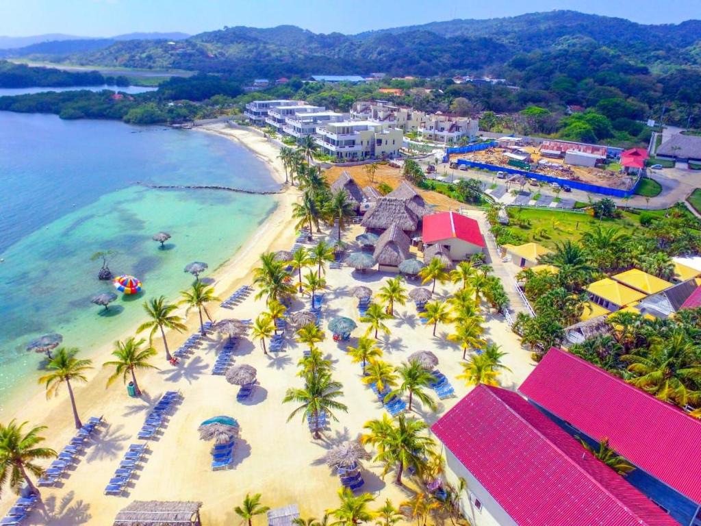 Dixon CoveLas Palmas Beach Hotel的享有棕榈树海滩和大海的空中景致