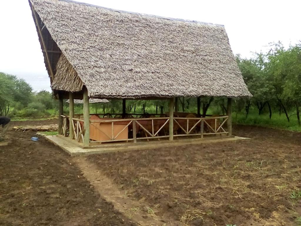 MailuaMailua Retreat的茅草屋顶的大小屋