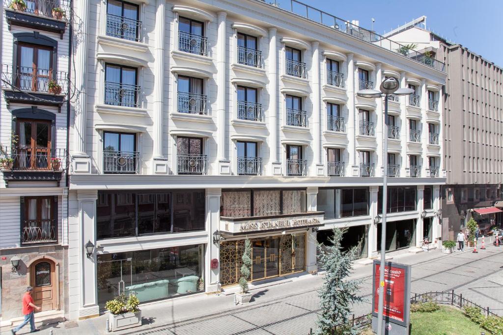 伊斯坦布尔伊斯坦布尔女士Spa酒店的街道边的白色大建筑