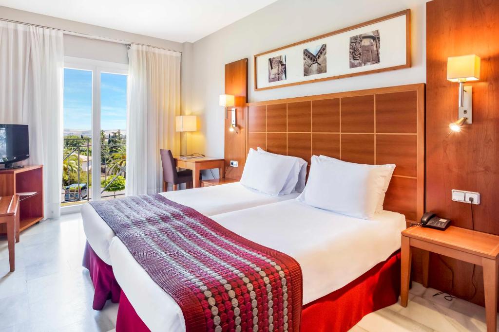 科尔多瓦艾可思拉斯阿德尔法斯酒店的一间设有大床和窗户的酒店客房