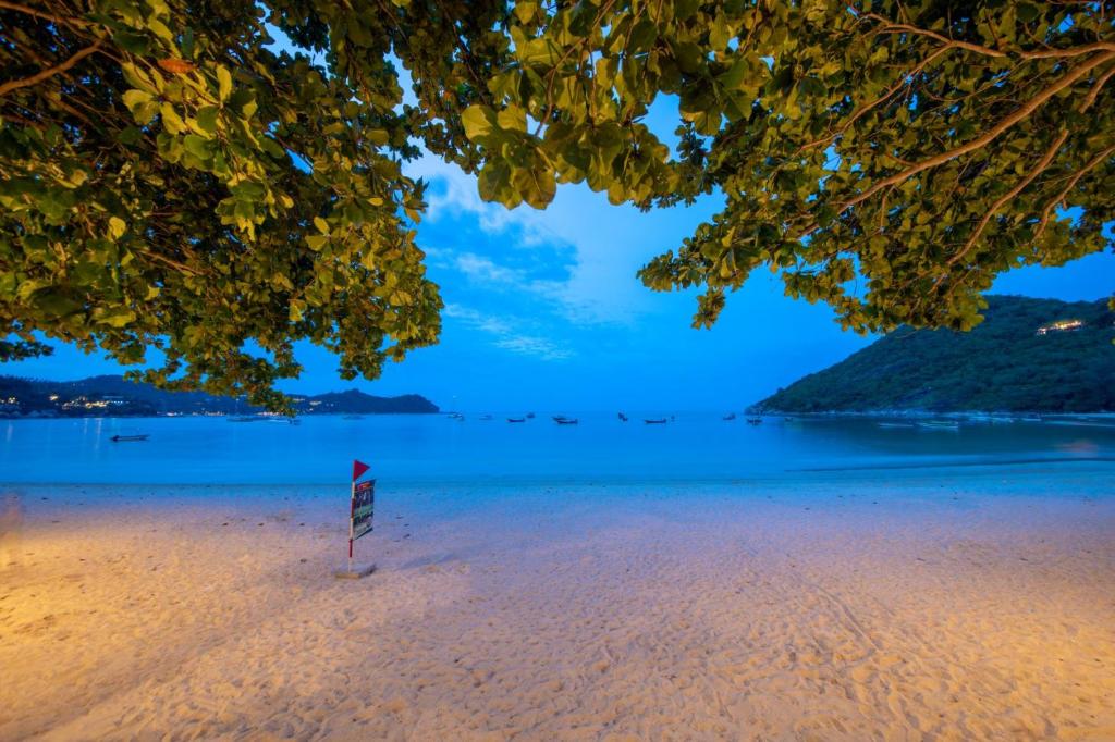 通奈潘海滩通奈潘海滩度假村的海滩美景,上面有标志