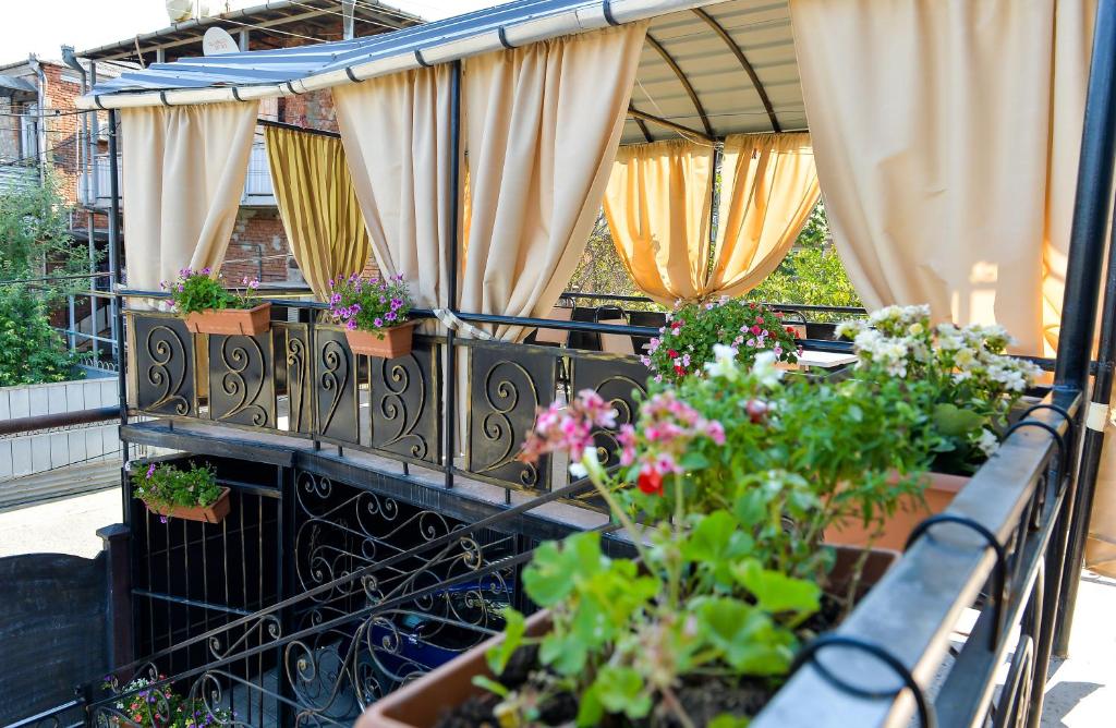 库塔伊西Bibi的阳台种有植物和窗帘