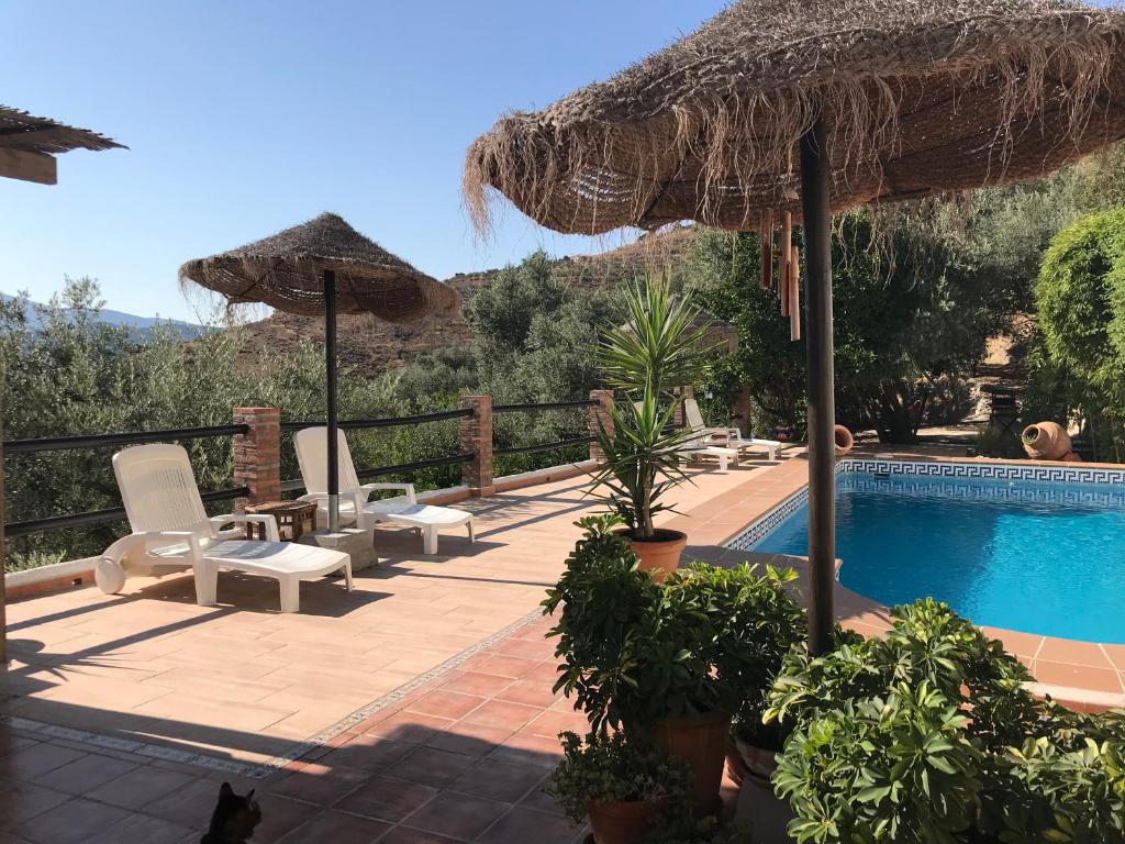Pinos del ValleJardin Andaluz Appart Alhambra的一个带椅子的庭院和一个带稻草伞的游泳池