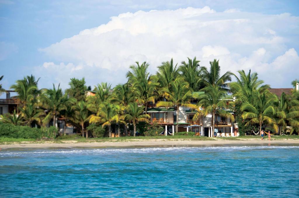 比亚米尔港玛丽塔之屋酒店的棕榈树和水滩上的度假村