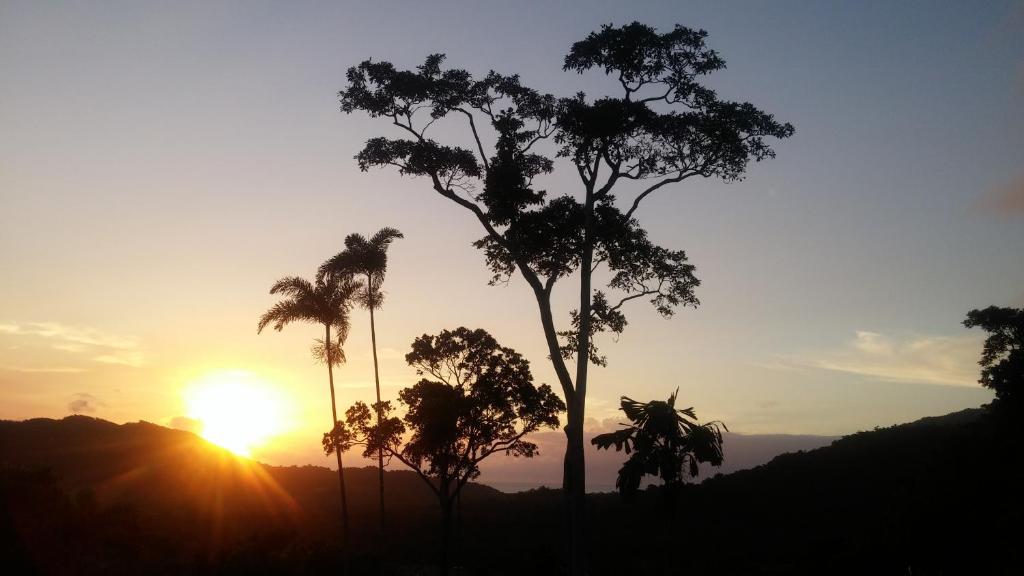 Cow BayDaintree Holiday Homes - Yurara的山前棕榈树的日落