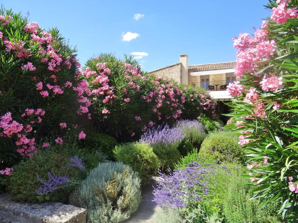 戈尔德戈尔德乐雅酒店 的一座种有粉红色和紫色花卉和灌木的花园