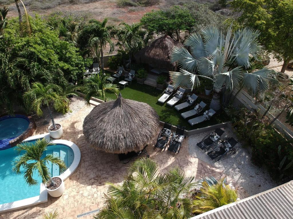 棕榈滩香蕉公寓的享有度假村的空中景致,设有游泳池和遮阳伞