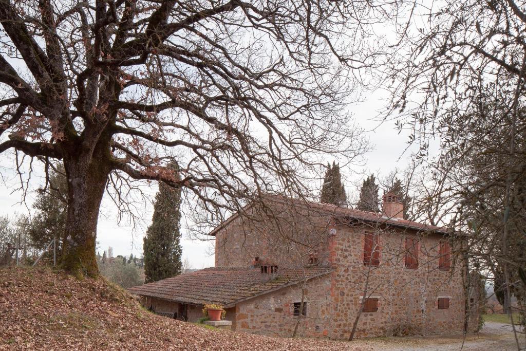 托里塔迪谢纳Podere Villa Rosa的一座古老的石头建筑,前面有一棵树