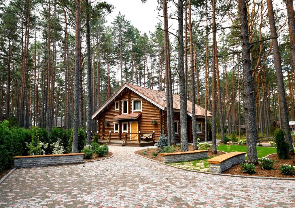AlajõeOkka Holiday Home的森林中间的小木屋