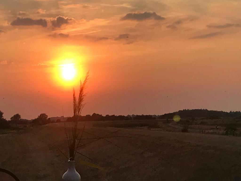 Gammendorf弗赖塔格度假公寓的田野上的日落,田野上的花瓶
