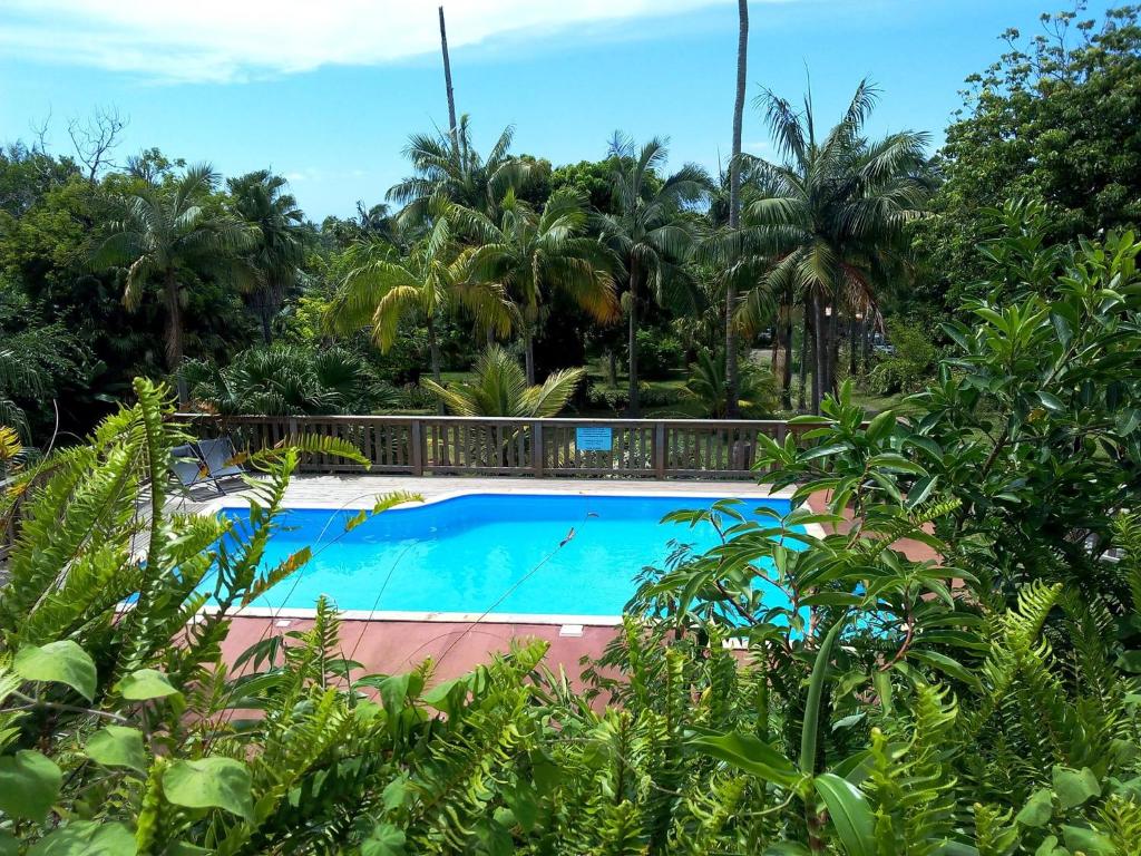 圣菲利普Le four à pain的一座棕榈树环绕的游泳池