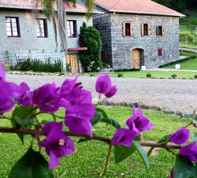 本图贡萨尔维斯Casa Vêneto -Vale dos Vinhedos的房子前面的一束紫色花