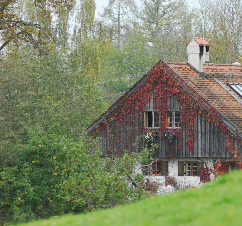 莱希河畔兰茨贝格Chalet Landsberg的旁边是红常春藤的房子