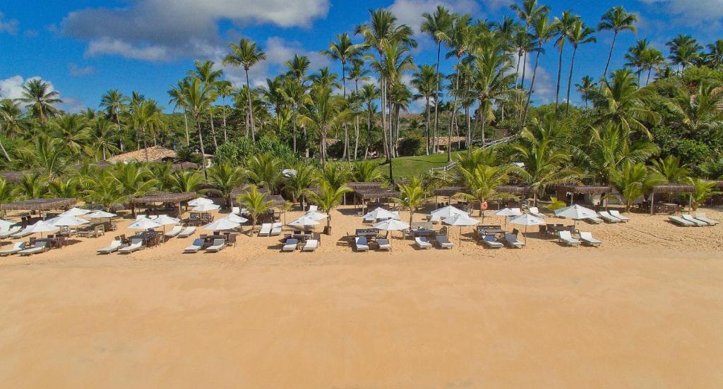 托兰克索Rio Da Barra Villa Hotel的海滩上设有椅子和遮阳伞,棕榈树