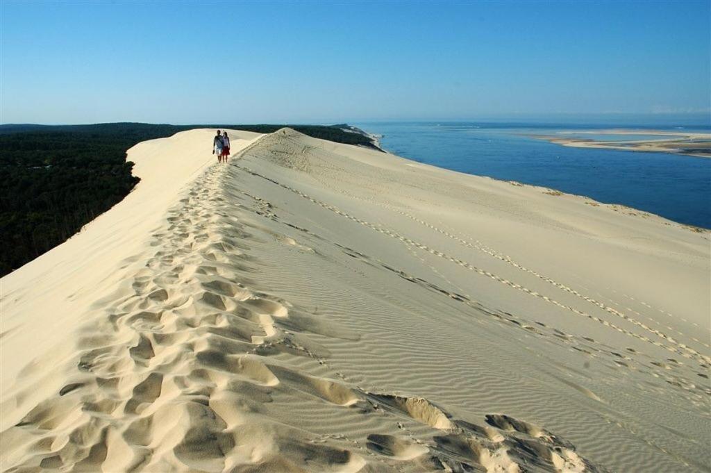 波讷地区圣朱利安Mobilhome Land的水边沙丘上行走的人