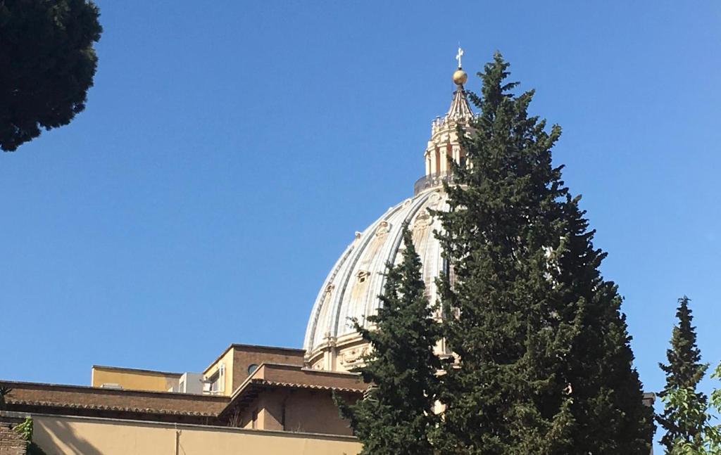 罗马Vista Cupola House的一座大建筑,前面有圣诞树