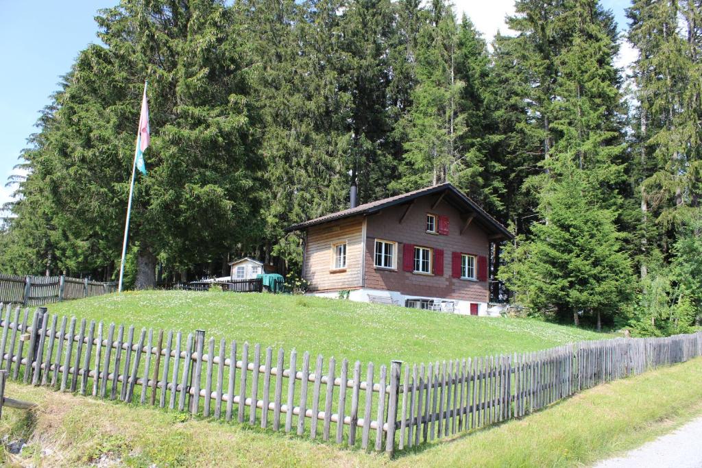 EbnatChalet Nueschwendi的山上的房屋,有栅栏和旗帜