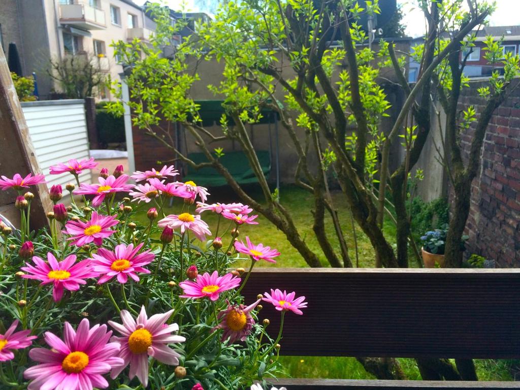 杜伊斯堡Charmant Wohnen的坐在长凳旁的一束粉红色的花