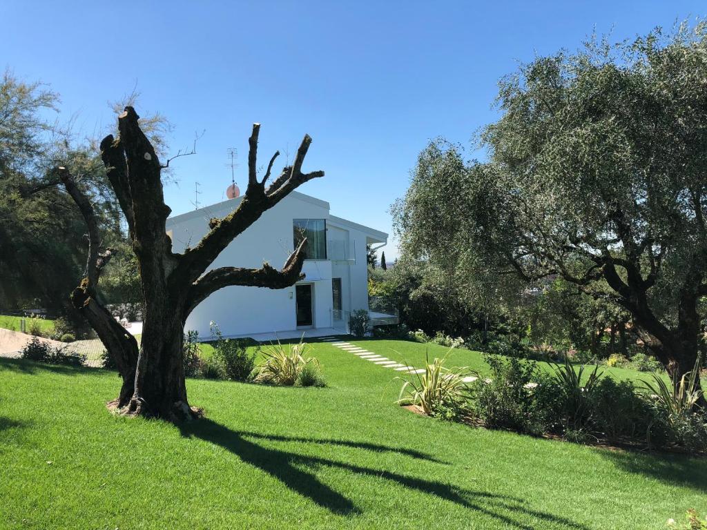 维罗纳Villa Il Bacio del Sole的院子里有树的白色房子