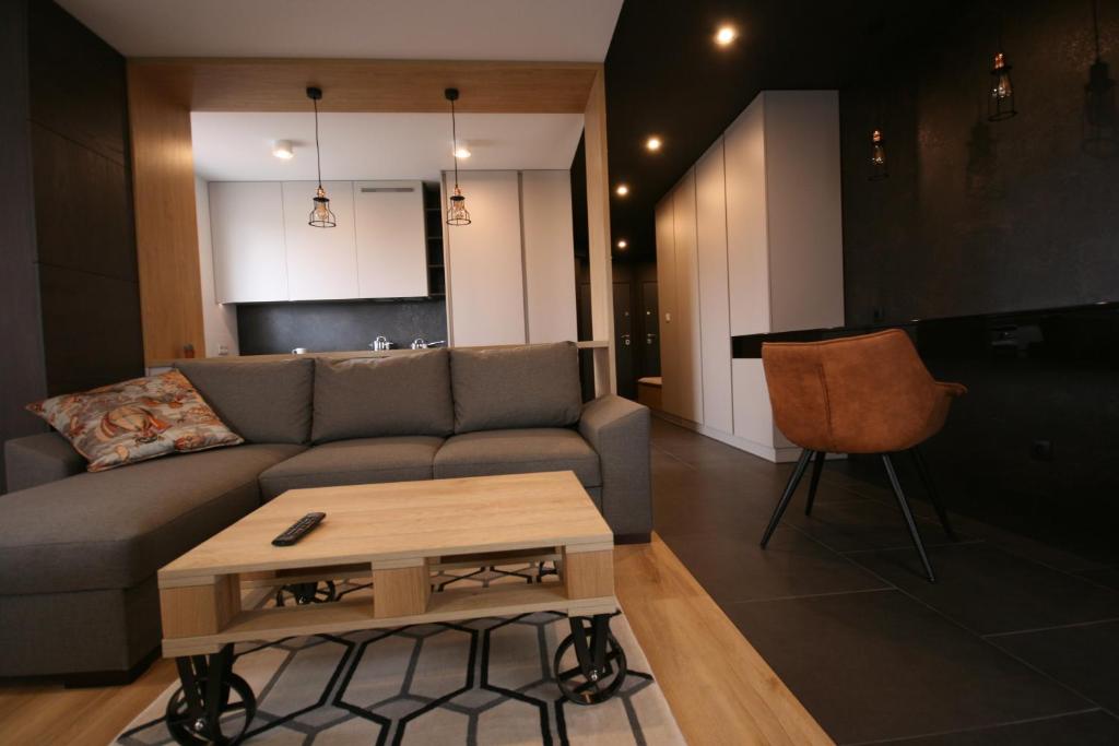 凯尔采APARTAMENT ZAGNAŃSKA - Garaż的带沙发和咖啡桌的客厅