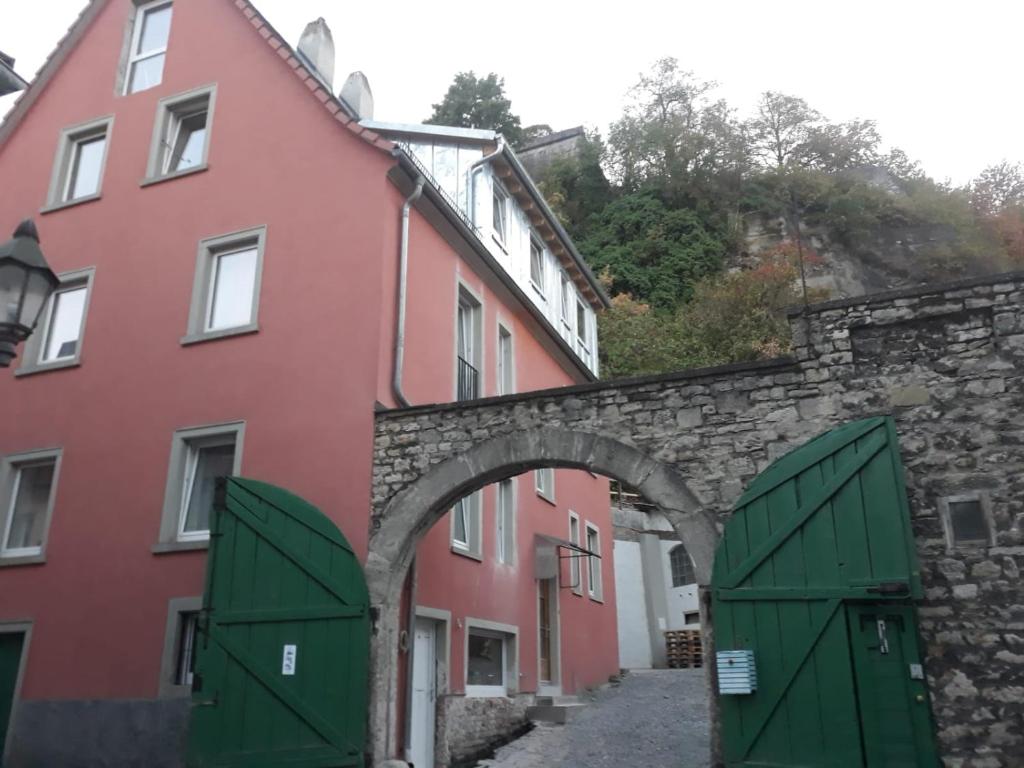 维尔茨堡Mainviertelhof的两栋建筑之间的拱门,带绿门