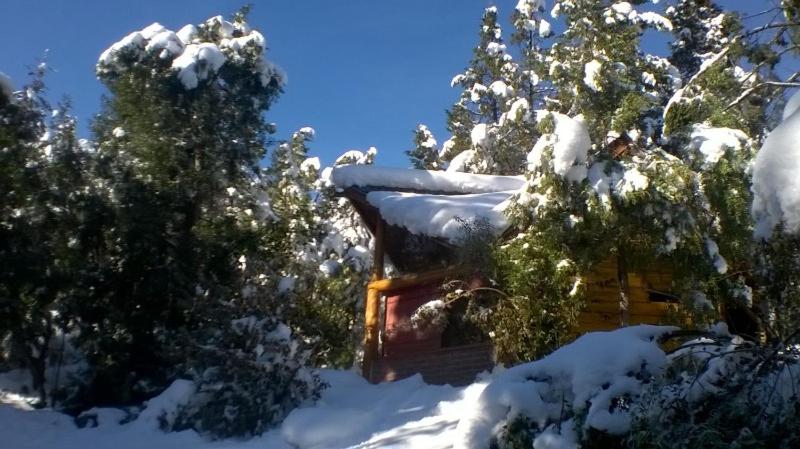 埃博森Cabañas De La Comarca的雪中树下的小木屋