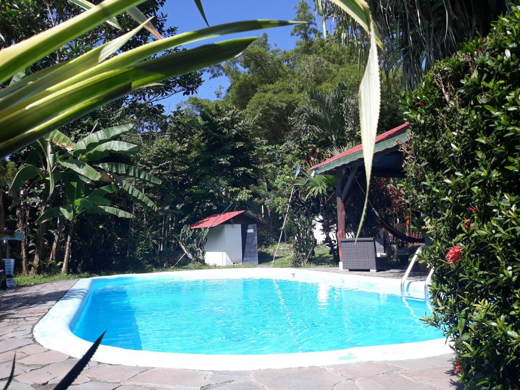 卡维塔Cabinas Nirvana Ecolodge的靠近灌木丛的大型蓝色游泳池