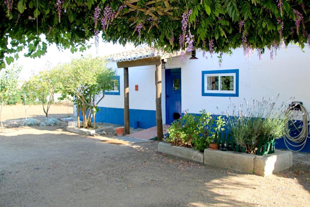 坎普马约尔Monte da contenda的白色的建筑,有蓝色的门和一些植物