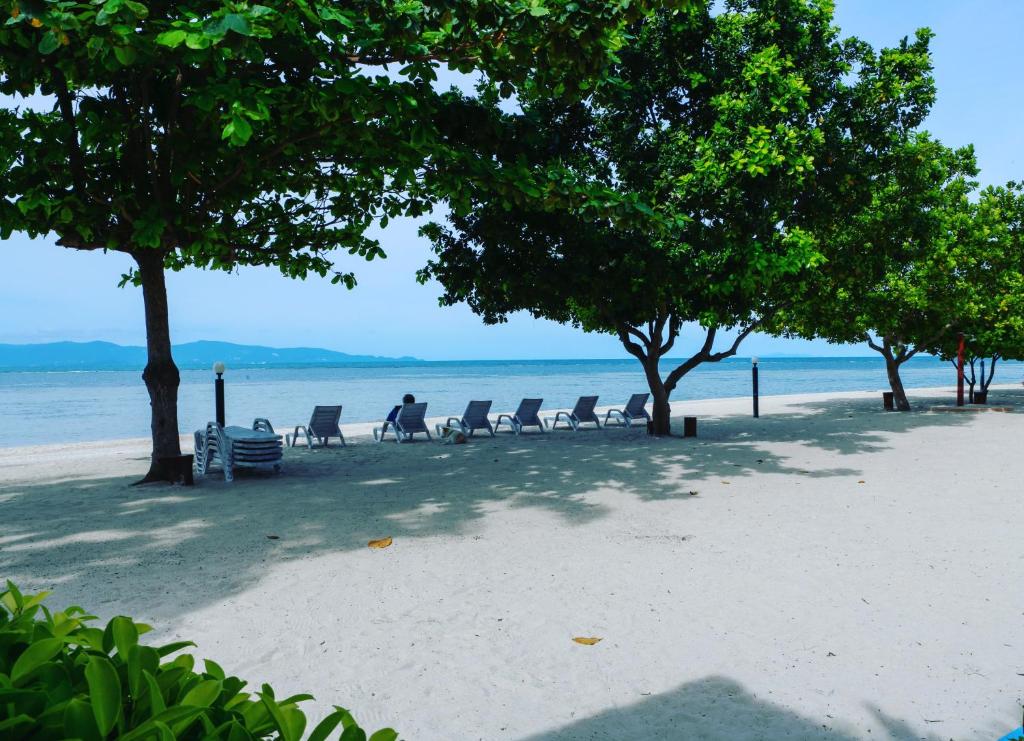 班泰伦格阿伦度假酒店的海滩上带椅子和树木的海滩