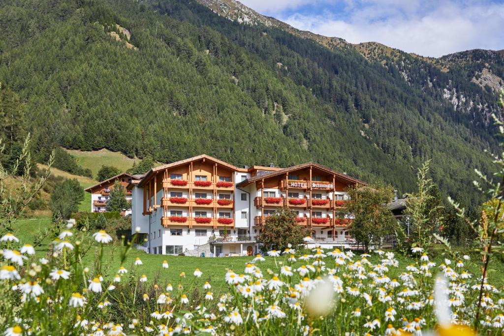 瓦勒斯Alpenhotel Schönwald Superior的山上的一座花田酒店