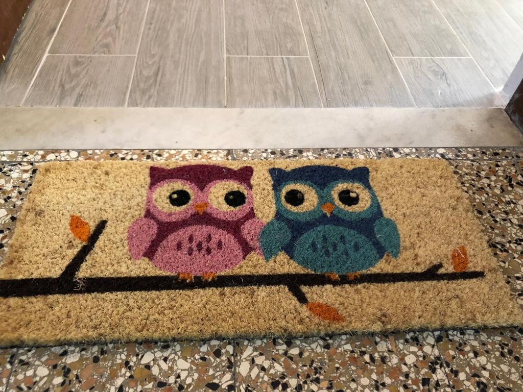 莱圭利亚Casa Bianca Laigueglia的两个猫头鹰坐在地板上的地毯上