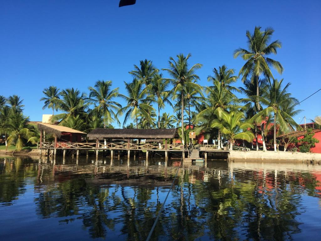 奥利文萨Pousada Ilha do Desejo的棕榈树水岸边的码头