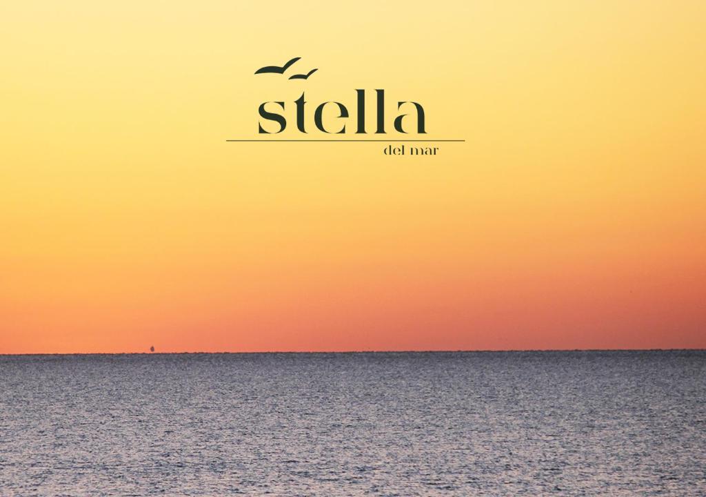 圣费利佩Stella del Mar的日落时分两只鸟飞越海洋