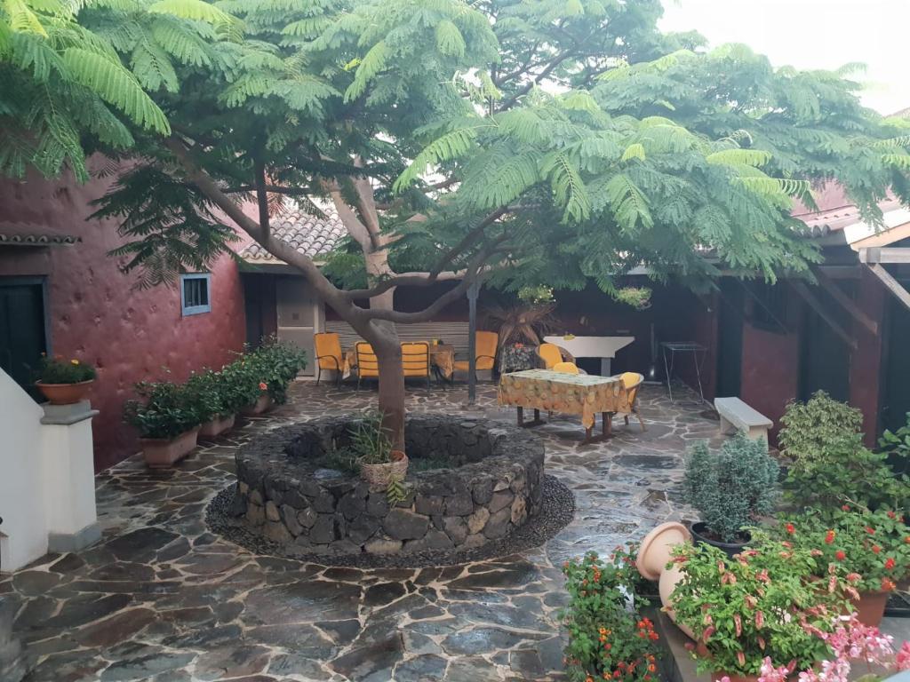 圣克鲁斯-德拉帕尔马Casita del Medianero的庭院里种着树,配有桌椅