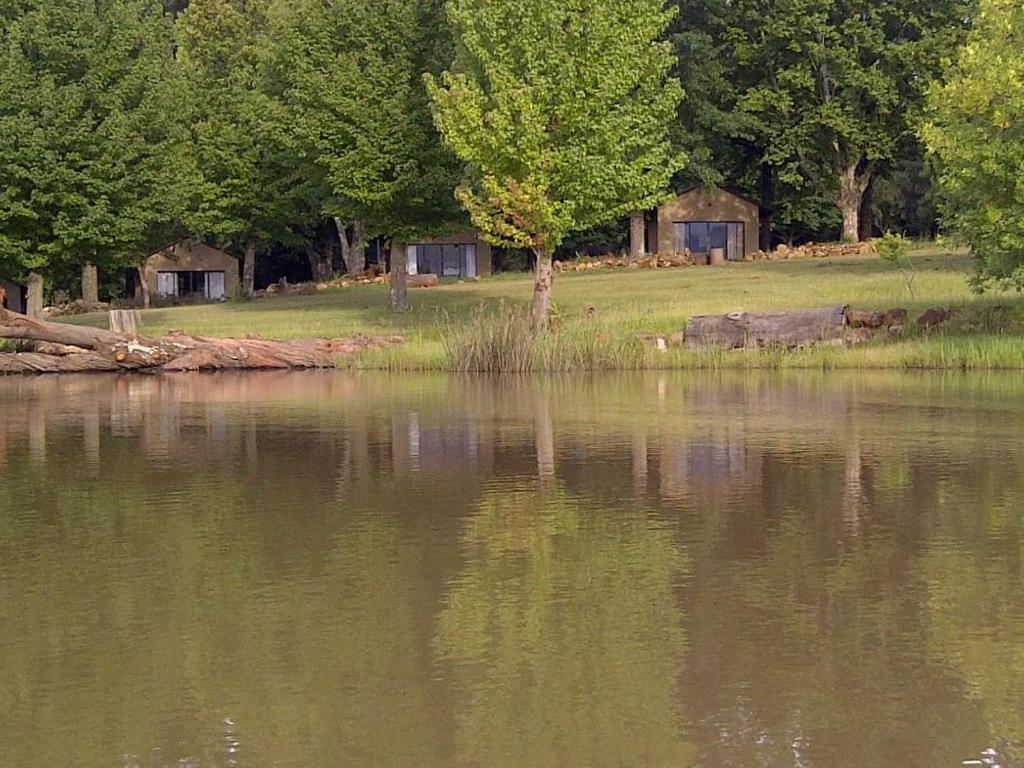 温特顿Berghaven Cottages的享有树木和田野的湖泊美景