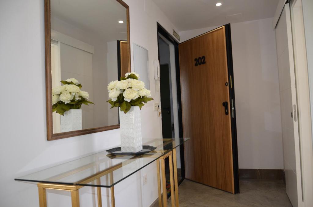 Urban House Siurot 33平面图