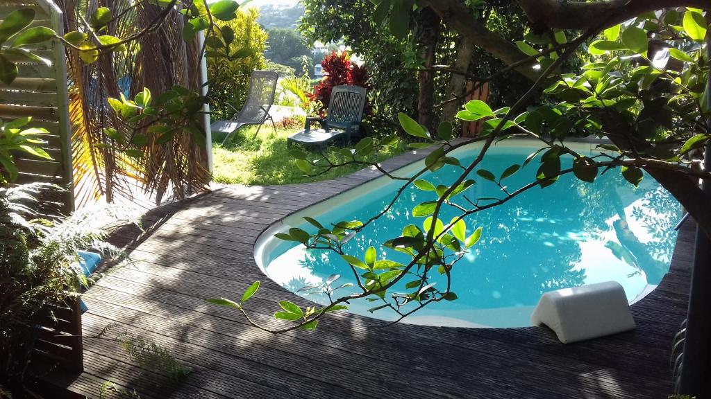 拉特里尼泰T2 KAY ZANNDOLI的花园中的一个游泳池