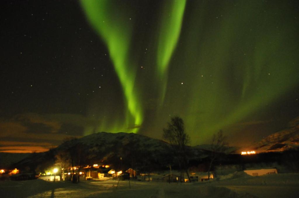 GullesfjordGullesfjord Camping的天空中极光舞的图像
