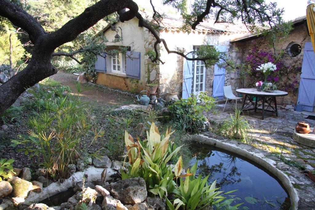 卡罗la maison bleue的房屋前带池塘的花园