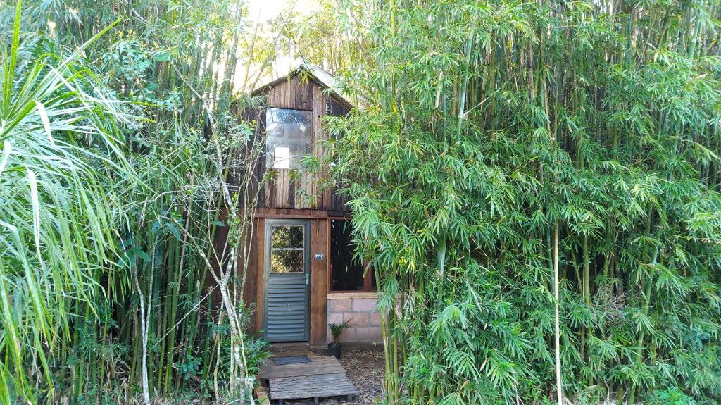 SapirangaCabana Bambu的森林中间的树屋