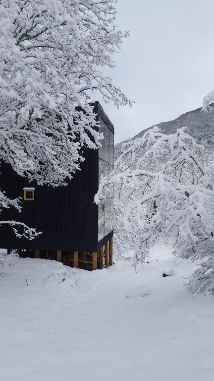拉斯特朗卡斯Andrómeda Lodge的雪中小屋,有雪覆盖的树木