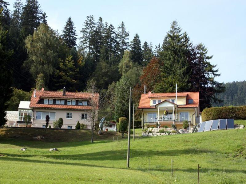 恩茨克勒斯特勒Haus Haag的山丘上草场的房子