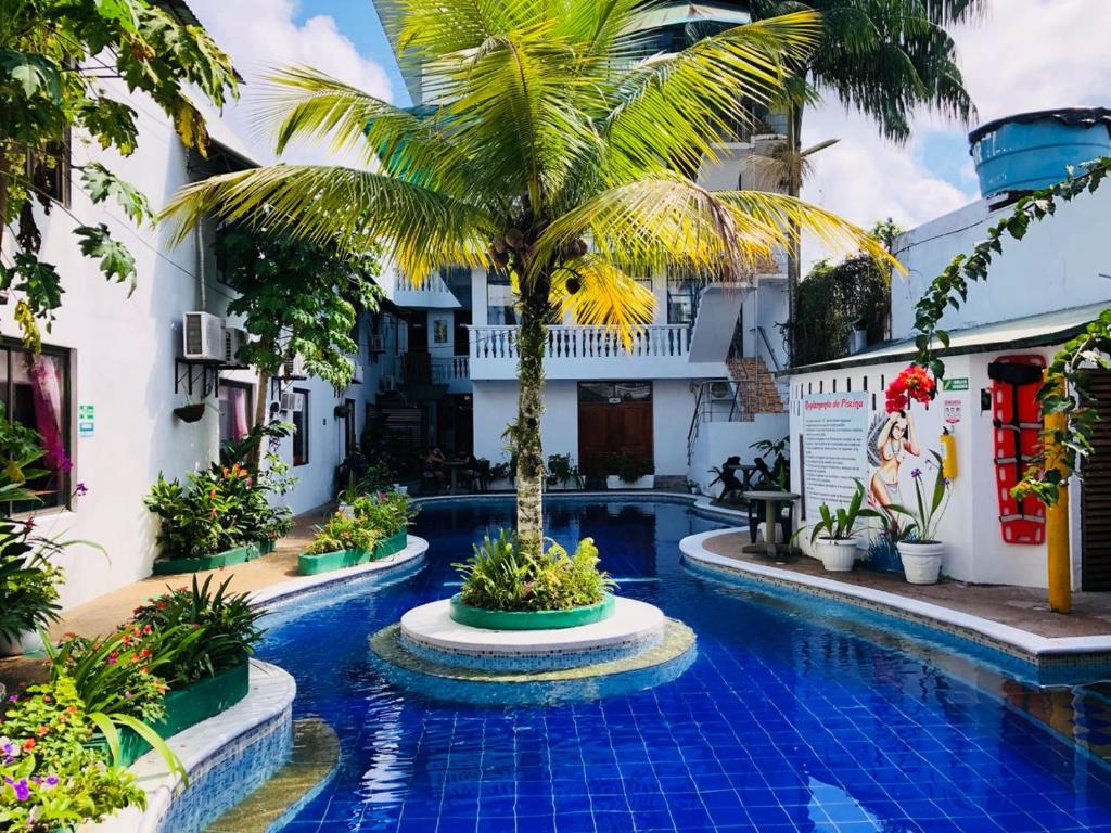 莱蒂西亚Hotel Yurupary AMAZONAS的游泳池中间的棕榈树